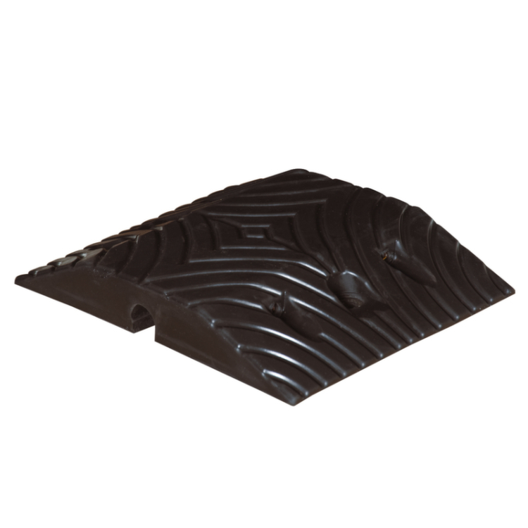 300842 - Fahrbahnschwelle