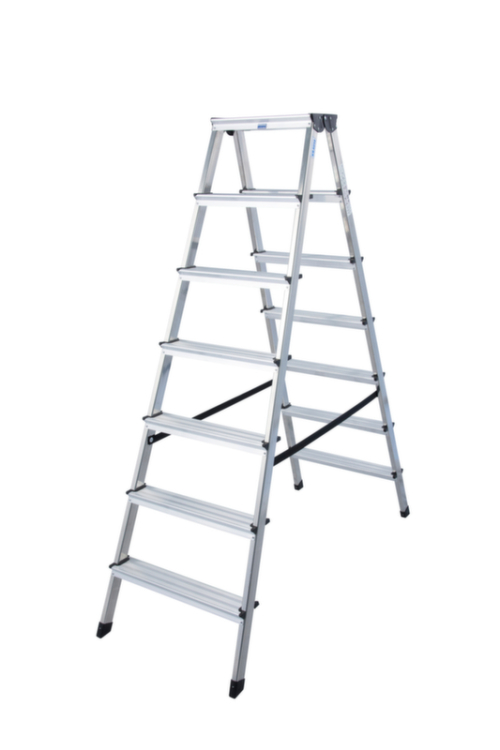 203455 - Leichte Universal-Stufenleiter