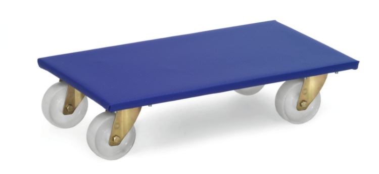 119199 - Transportroller